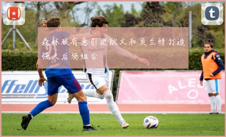 森林狼有意引进欧文和莫兰特打造强大后场组合